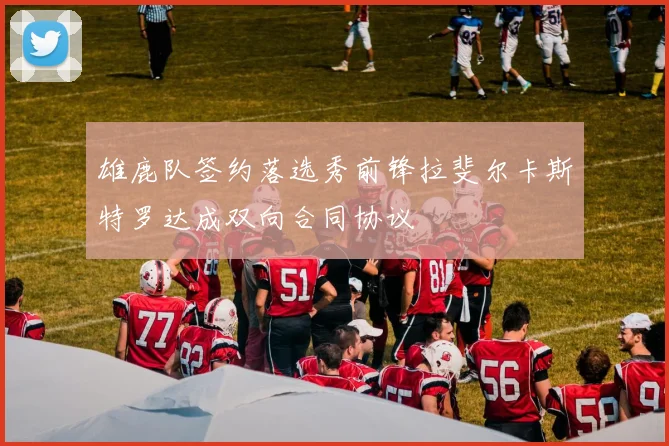 雄鹿队签约落选秀前锋拉斐尔卡斯特罗达成双向合同协议