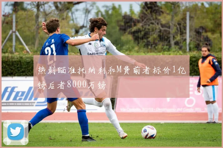 热刺瞄准托纳利和M费前者标价1亿镑后者8000万镑